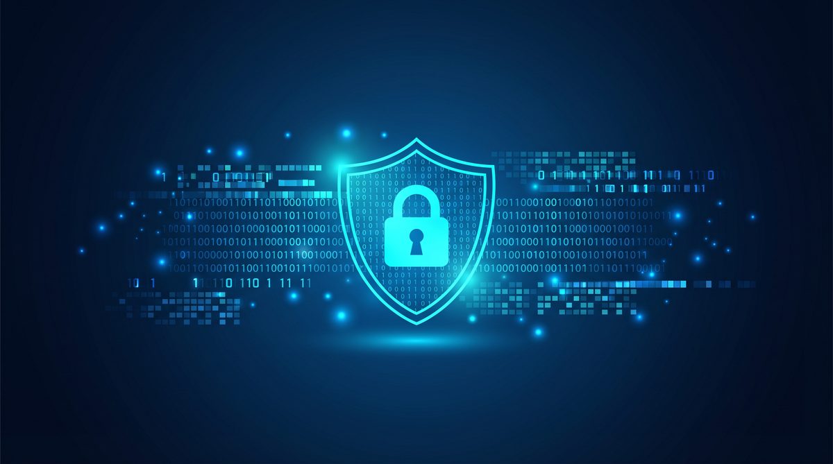 单元加速器隐私安全保护